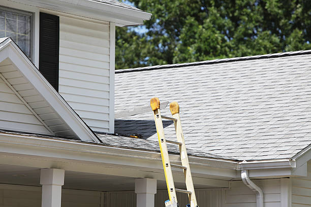 Best Fiber Cement Siding Installation  in Whiteville, NC
